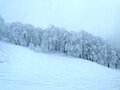 ゴンドラで観に行ける高さ5ｍの「スノーモンスター」！「日本三大樹氷」秋田県・森吉山で出会える絶景とは？の画像005