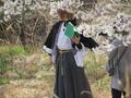 知る人ぞ知る「絶景のサクラ並木」総距離5km・1700本「虎山の千本桜」コスプレイヤーも集う「まるで異世界」写真映えスポット【埼玉県東秩父村】の画像005