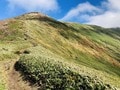 ひろがる絶景は2,000m級！  開放感あふれる絶景の稜線歩き！「平標山」平元新道から松手山コース下山「登山レポ」の画像007