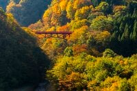 【上信越高原国立公園】「見頃になりました！」紅葉に彩られた赤い橋“高井橋”と松川渓谷“雷滝”  長野県高山村・2023年