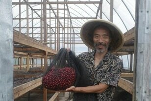 【関係人口の本質は人と人との信頼関係だった】受ける側になって初めて気づいた「体験型ツアーのあり方」とは【耕して、焙煎して、走る男　人口2,800人の村に移住してみました vol.16】