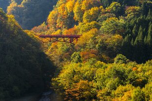 【上信越高原国立公園】「見頃になりました！」紅葉に彩られた赤い橋“高井橋”と松川渓谷“雷滝”  長野県高山村・2023年