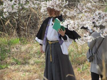 2ページ目) 知る人ぞ知る「絶景のサクラ並木」総距離5km・1700本「虎山