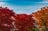 【高遠城址公園】「天下第一の桜の名所で紅葉狩り」歴史の風吹く武田信玄の城跡に輝く紅！《長野県》2022年の画像004