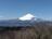 早春の香り「梅＆ミツマタ」重奏を満喫できる「矢倉岳」！  山頂で「富士山」も加わる、絶景のお花見ハイキング「現地レポ」【神奈川県南足柄市】の画像001
