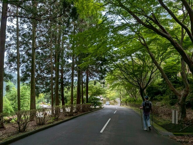 【世界遺産・熊野古道】初めての「熊野古道」歩きにおすすめ！  1000年前の石畳の巡礼路から熊野那智大社、那智の滝までを3時間で満喫する「大門坂ルート」の画像013