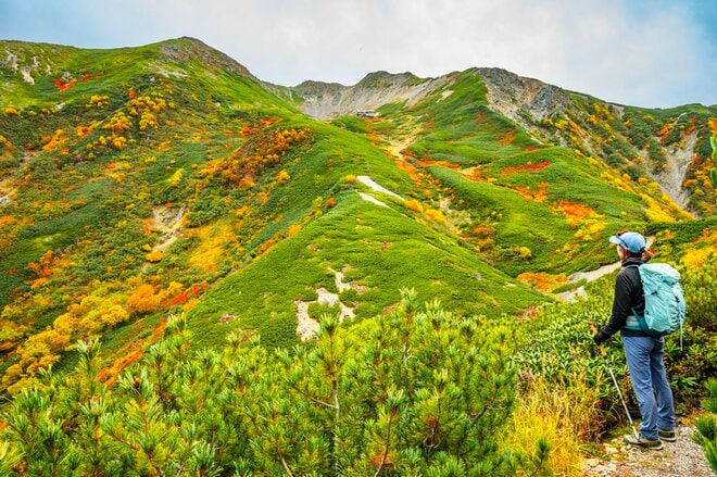 【登山】ここ数年で一番の美しさ「南アルプスの貴公子と女王の山岳紅葉」 日本の1-2-3位の高峰を望む  南アルプス・2025年の画像020