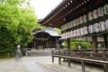 京都駅から40分、穴場の絶景「向日市・竹の径」レポ！  有名スポット「嵐山・竹林の小径」より見ごたえあり？「孟宗竹1.8㎞」ハイキングの画像002