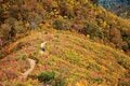 【富士山の次に登る山 vol.4】登山の魅力はムゲン大「山頂部に池塘が広がる山」 苗場山・平ヶ岳・朝日岳・飯豊連峰の画像005