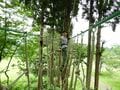 【新潟県】高原リゾートで「夏アクティビティ」三昧！  フォレストアドベンチャーやカヤックで自然を満喫＆ドームテントで優雅なグランピングを体験！～冒険と癒しの旅～の画像004