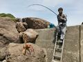 「絶対に釣れない」釣り下手ライター vs「絶対に釣れる」名所・福井県「音海半島」！  究極の「ホコタテ対決」の結末は？の画像006