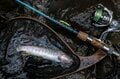 【渓流釣り】ついにこの日がやってきた！  東奔西走「最終日の渓流でフライを忘れて右往左往」 長野県・2025年の画像005