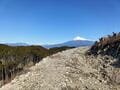 富士川・駿河湾・富士山の大展望満喫！  約2時間半で4座をめぐる低山縦走コース「大丸山」 キャンプと一緒に楽しんでもOK「登山レポ」の画像006