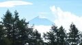 6月が見ごろ「甘利山のレンゲツツジ」 山頂からは富士山の絶景も！  登山デビューに最適「駐車場から30分＆周回1時間アレンジ」現地レポの画像004