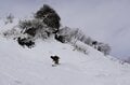 冬が帰ってきた！？春を目前に待望の積雪【谷川岳天神平スキー場 by 星野リゾート・群馬県】まだまだスキー＆スノボが楽しい季節は続くの画像003