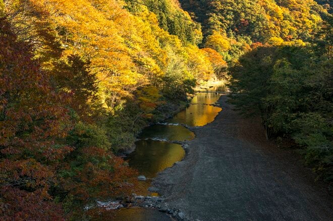 そろそろ紅葉も見頃に！「手強いけれど、強烈なファイトに大興奮」 神流川“冬季ハコスチ釣り場”【群馬県上野村】 2025年の画像001