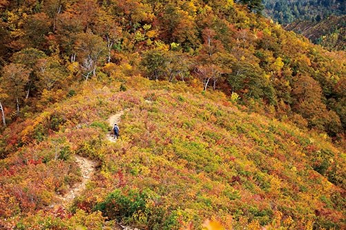 【富士山の次に登る山 vol.4】登山の魅力はムゲン大「山頂部に池塘が広がる山」 苗場山・平ヶ岳・朝日岳・飯豊連峰の画像005