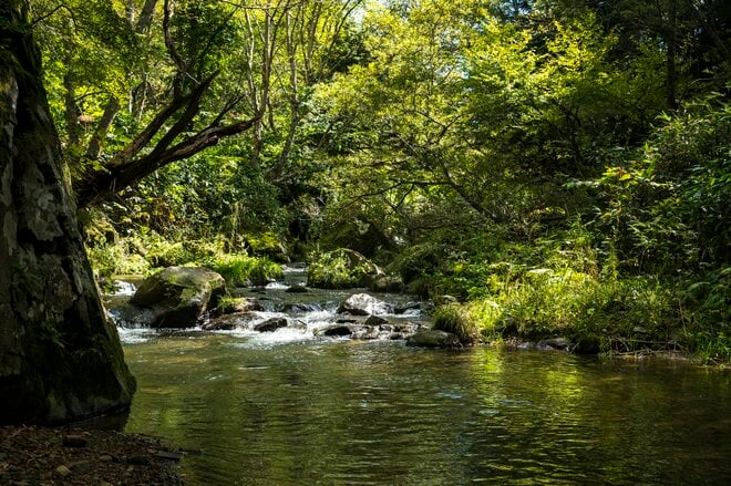 【渓流釣り】思い残すことがないように！  友人を連れて今年一番気になった渓へ「幻の天然コバルトマスはどこへ？」 長野県・2025年の画像006