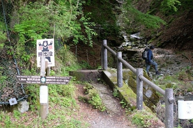 【首都圏近郊ハイキング】5月でもまだ花見ができる山「西丹沢・檜洞丸」への画像002