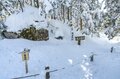 「飛騨・位山」 気持ちいい頂で深呼吸、山で汲んだ美味しい水でコーヒーを一杯いただく登山レポート【2025年 岐阜県】の画像005