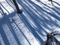 スキー場で見つける動物の足跡や食べ跡「雪上のフィールドサイン講座」【キジ博士のナチュラリスト入門 vol.10】の画像002