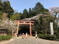 都心から日帰り「プチ遠征＆散策」にちょうどいい！  自然を感じてリフレッシュOK！ 「埼玉・千葉・神奈川」スポット3選の画像002