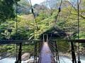 箱根「宮ノ下」界隈の穴場的コース「堂ヶ島渓谷遊歩道」レポ！  朝さんぽ1時間＆足湯カフェで「絶景スイーツ」堪能！  紅葉観光でも訪れたいスポットの画像003