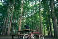 たった10kmの自転車周遊「ミズイチ」ってなに？  23区随一の水郷公園なら30分でもかなりエピック【ゆる6輪の旅 vol.01 水元公園】の画像007