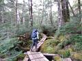 「北八ヶ岳」苔むす森と絶景を満喫！  大パノラマ周回コース「にゅう」＆「中山展望台」＆「白駒池」登山レポ！の画像001