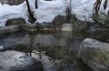 この時期だけの贈り物！「雪見温泉の悦楽」 冬旅に欠かせない【全国厳選12温泉地】の画像022
