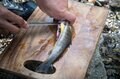 自分で釣ったらなんでもおいしいはウソ！？「川魚が一番おいしく食べられそうな調理法」を試してみましたの画像007
