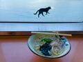 アート、ときどき島猫。直島・犬島・小豆島【「瀬戸内トリエンニャーレな旅（後編）」琉球島猫百景 vol.22〈特別編〉】の画像020