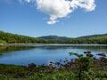 神秘的なコケと原生林がお出迎え！「往復5時間」北八ヶ岳の茶臼山・縞枯山ハイキングで楽しむ「緑の絶景」の画像005