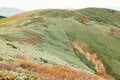 【日本百名山】「まるで童話のような世界！」秋の巻機山登山 2022年 新潟県・群馬県の画像008