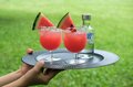 夏気分が上がる爽やかカクテル「ハーブジントニック」＆「すいかソルティードッグ」【 季節の外ごはん vol.14】の画像005