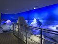 流氷だけじゃない！  北海道・網走の魅力再発見！  大型砕氷船「おーろら号」乗船レポート！の画像010