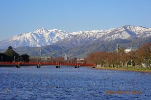 満開目前！【日本三大夜桜の世界】 桜と一緒に楽しむ上越の春！  創業400年の老舗飴屋と春スキー「高田城址公園観桜会」へ  新潟県・2024年