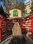 甲子園ライトスタンド場外にある通称「タイガース神社」素戔嗚神社の夢ボールみくじで星野仙一監督の喝を勝手に脳内再生する【関西おみくじジャーニー vol.25／兵庫県西宮市】の画像006