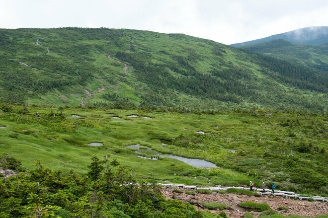 【山形県米沢市・天元台高原】吾妻連峰の百名山「西吾妻山」は ”天空のお花の宝庫”　入山には「天元台スキー場」のロープウェイ利用が最適！の画像006