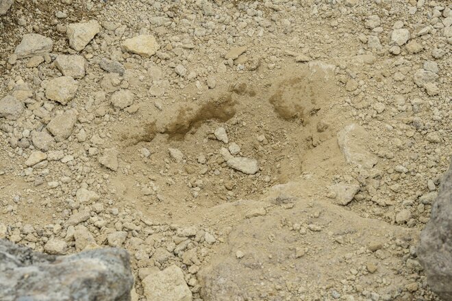 ライチョウ観察は登山道沿いがベスト！ 白馬乗鞍岳・小蓮華山のライチョウ調査へ＜長野県＞の画像004