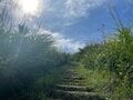 ＜紅葉前に“関西屈指”のススキの大海原もお見逃しなく！＞大阪市内から“車で小一時間で行ける”「岩湧山」ハイキングルート【里山アドベンチャー！ソトアソ日和 vol.７】の画像013