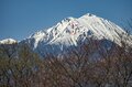 白銀の北アルプスに春の風物詩が出現！ お花見とセットで楽しめる“雪形”探し 【長野県 2024年】の画像008