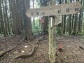 ＜紅葉前に“関西屈指”のススキの大海原もお見逃しなく！＞大阪市内から“車で小一時間で行ける”「岩湧山」ハイキングルート【里山アドベンチャー！ソトアソ日和 vol.７】の画像008