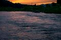 【渓流釣り】 時間に厳しい！？  夕闇のプールではしゃぐ山女たち 「翌朝もワンチャンあるかも！」 2024年6月、新潟県十日町の画像006
