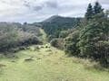 秋の訪れとともに登りたい！  伊豆「金冠山・達磨山」まるで公園の芝生のような稜線歩き「富士山＆駿河湾」の絶景「登山レポ」の画像001