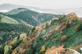 【日本百名山】感動しっぱなし！ 百聞は一見にしかず！ 紅葉の恵那山へ《長野県・岐阜県》2022年の画像005