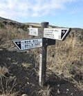 大島上陸！ 双葉社登山部、三原山ハイキングへ！ 「山も焼き肉も堪能！！ 浜松町から船便出発で1泊2日の伊豆大島 三原山登山」【双葉社登山部 山行レポート vol.4  後編】の画像005