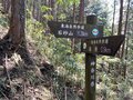 「暖かな日差しに誘われて」東海自然歩道 石砂山へ【期間限定】“春の女神”「ギフチョウ」に会いに行く【2023年・神奈川】の画像001