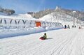 東京から新幹線で約70分！  一番近い雪国「越後湯沢」の人気スキー場【6選】＆ 立ち寄り処ガイドの画像009