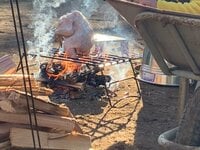 初心者でも「道具ゼロ」から総額4500円で楽しめる豪快バーベキュー料理「ビア缶チキン」！  調理の一部始終と「予想外すぎる」衝撃結果